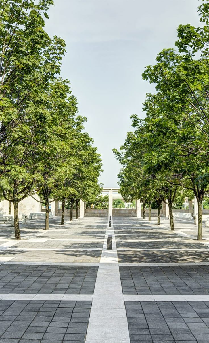 Avenue Trees & OSR